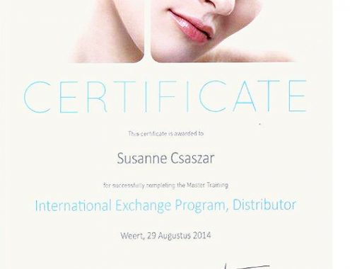 international_exchange_program_csaszar_zsuzsanna_nouveau_contour